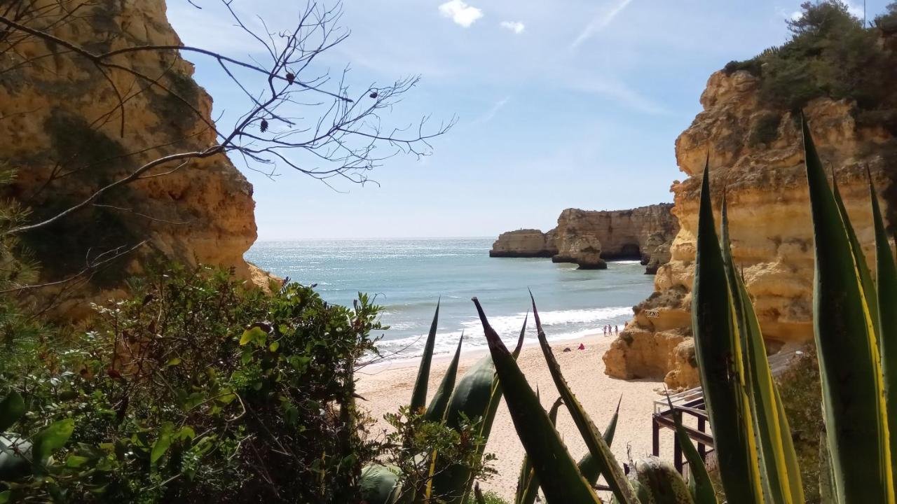 Apartment Albufeira Beach Apartment